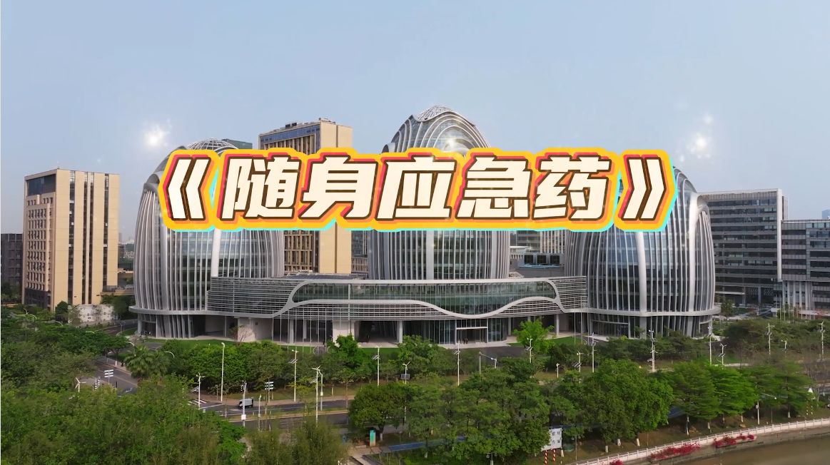 【2025特等奖】随身应急药