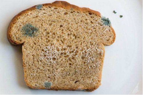 回南天食物易发霉,安全储存有这些招