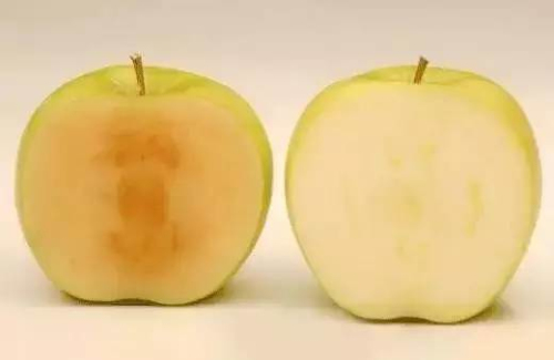 食品抗氧化剂小知识