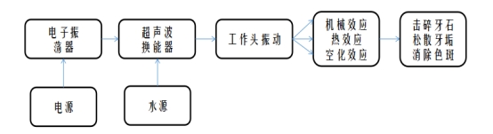 洁牙机频率怎么调超声波洁牙之后，牙缝会更大？_https://www.jmylbn.com_新闻资讯_第2张