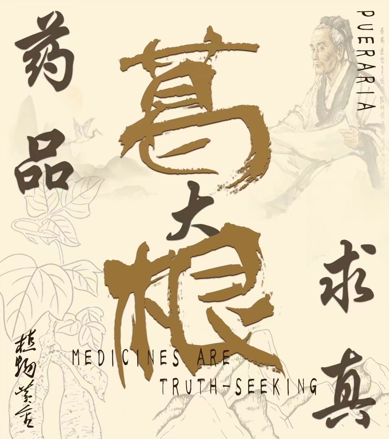 药品大求真——葛根